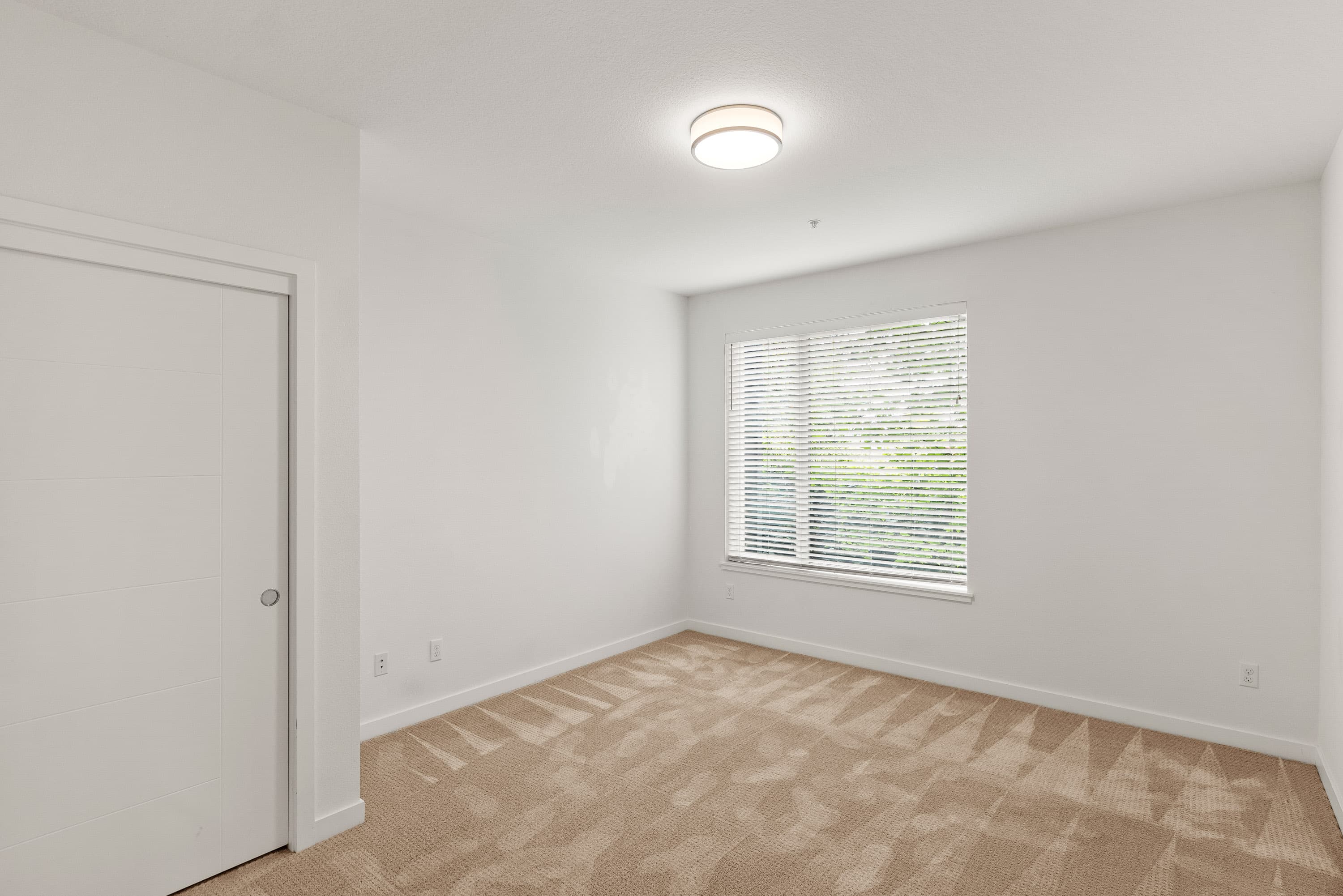 Carpeted Bedroom